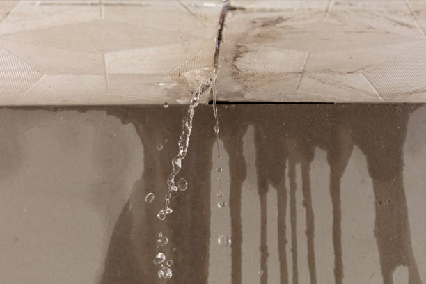 Professional Water Damage Repair technician working in Burr Hill, VA